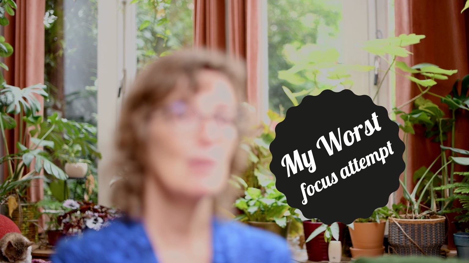 My Worst Focus Attempt (the Inner Critic Series) - image 1 - student project