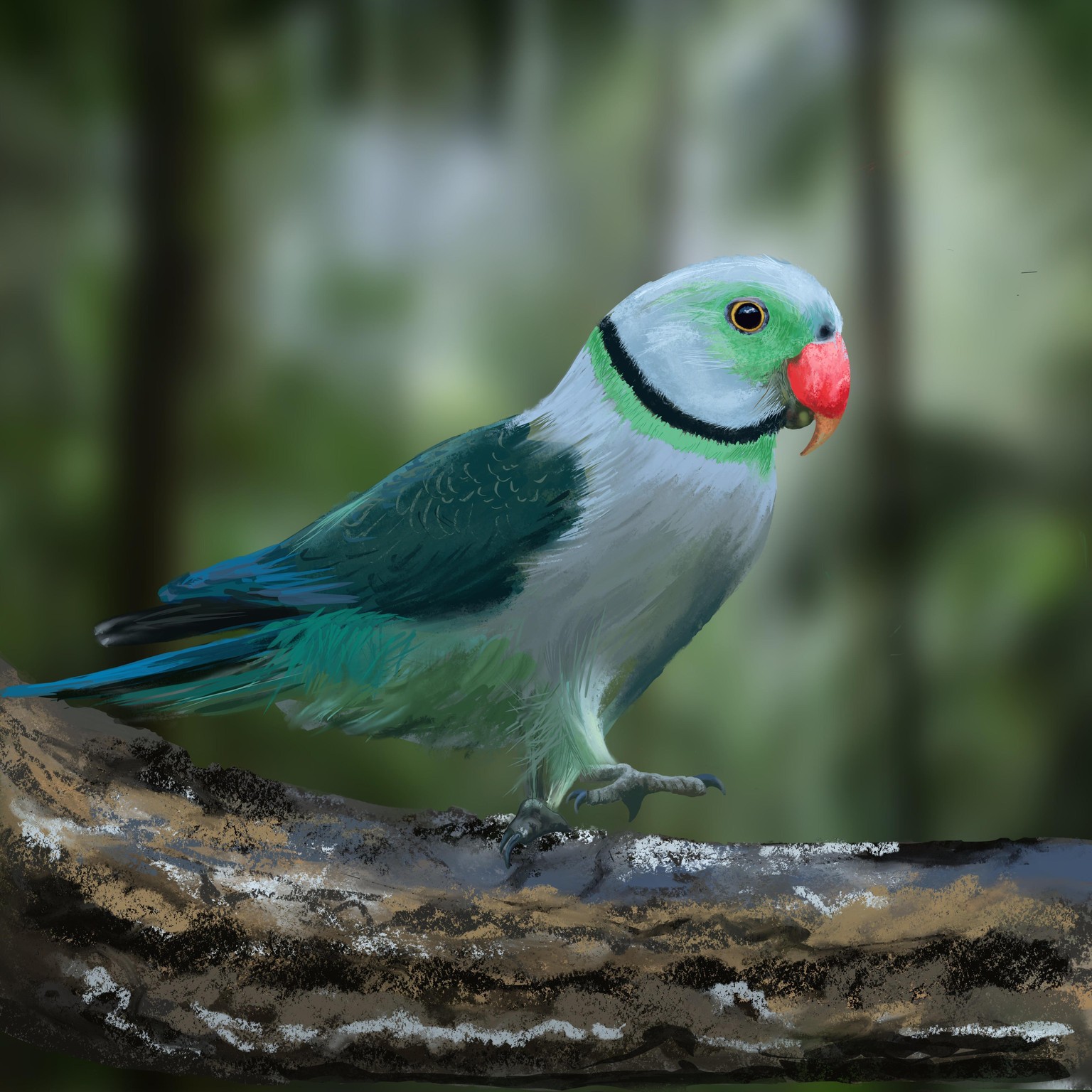 Sun Conure and Ringneck Parakeet - image 1 - student project