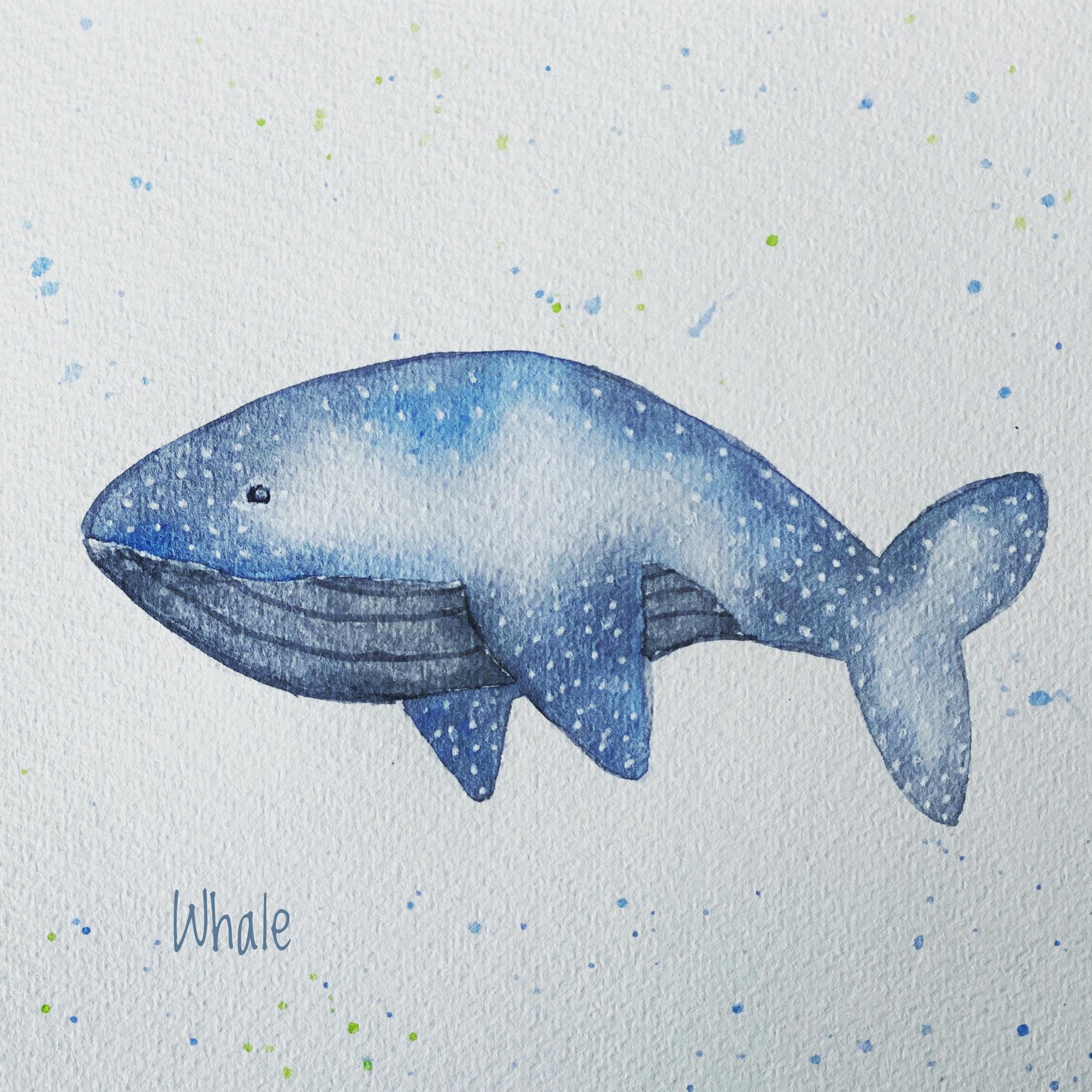 Whimsical Whale Shark - image 1 - student project