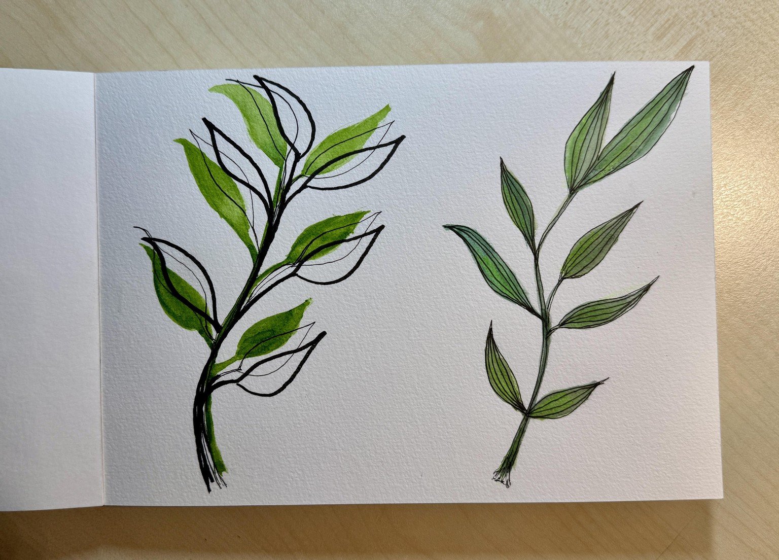 Botanicals Watercolor & Ink - image 1 - student project