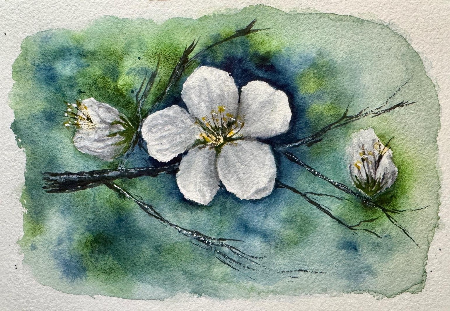 Cherry Blossoms - image 1 - student project
