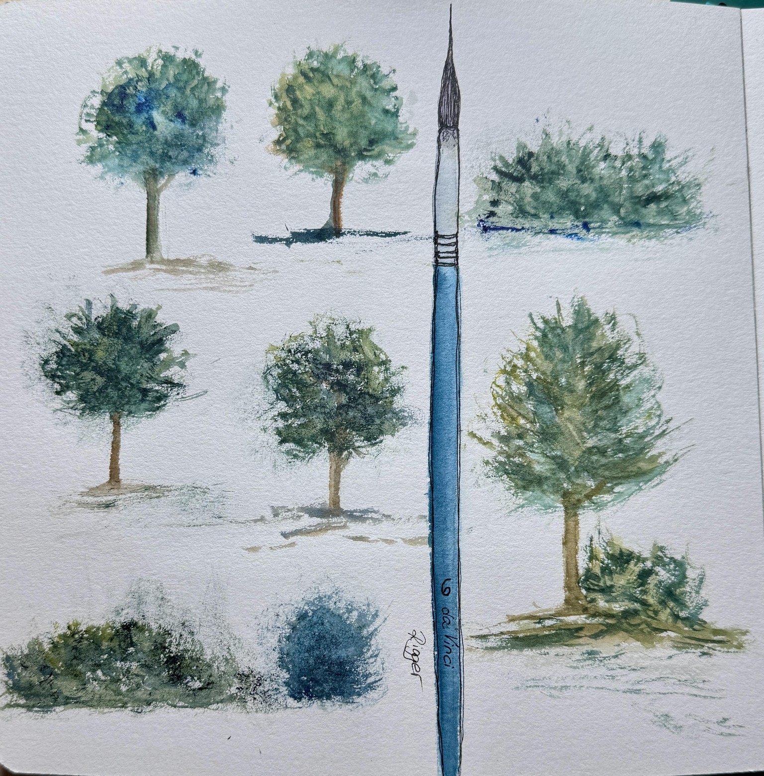Watercolor Brushwork - Trees - image 1 - student project