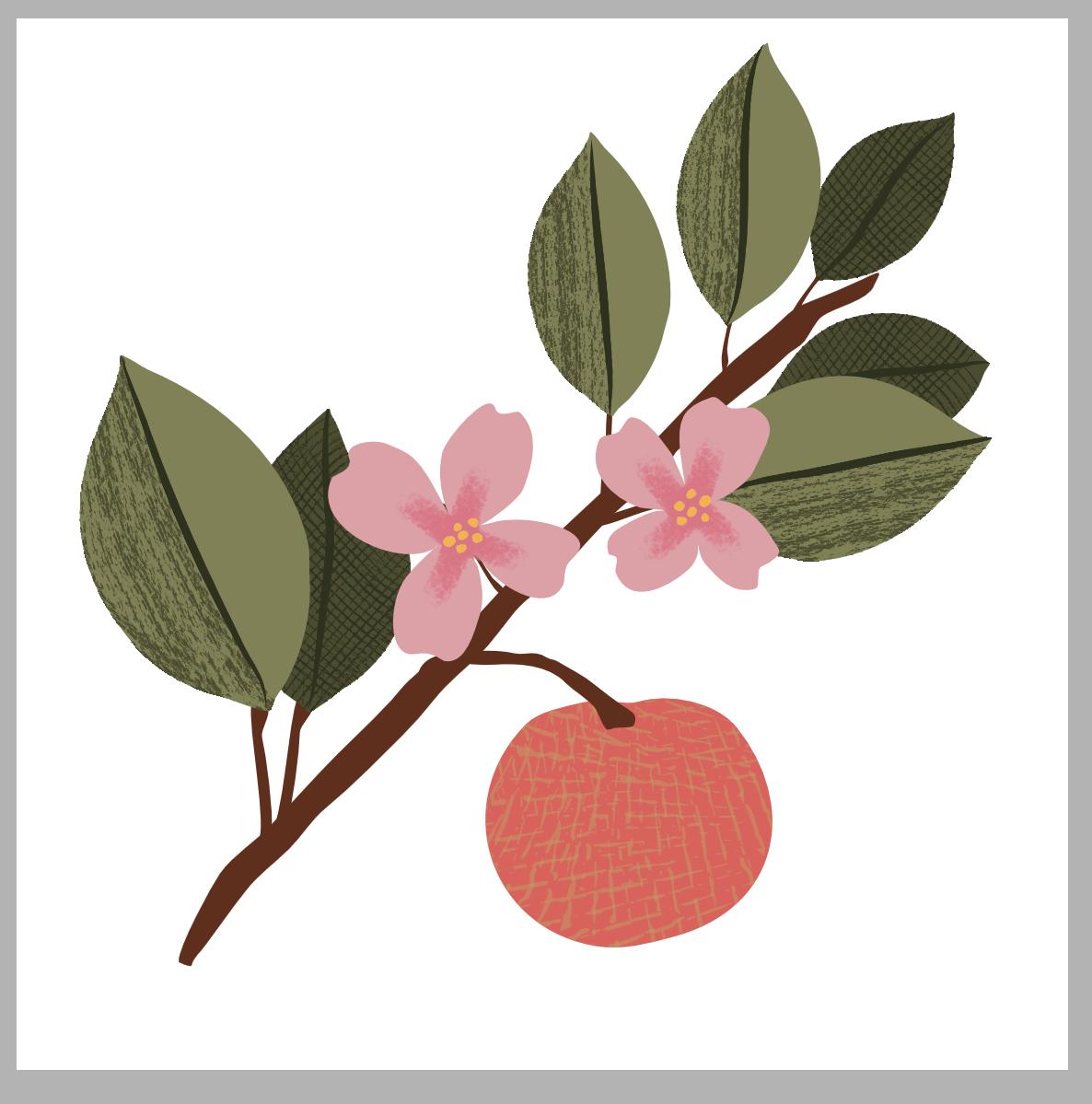 Beginner Vector (Affinity) - image 2 - student project
