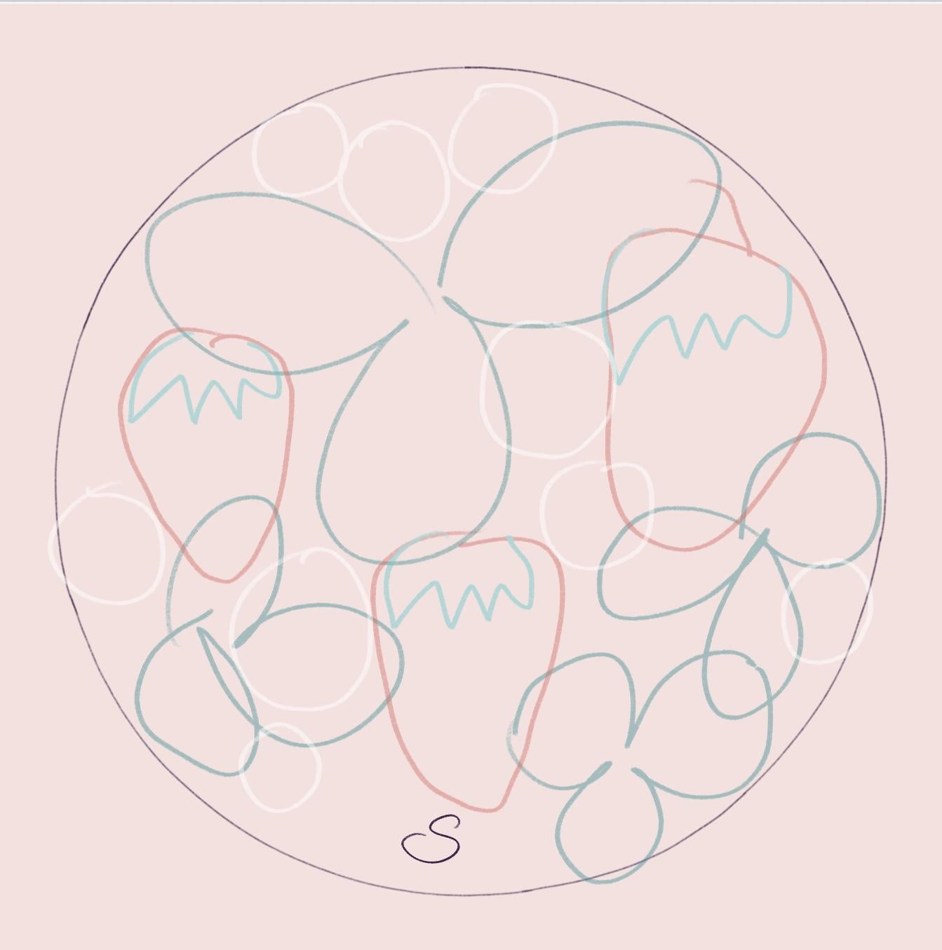 Strawberries - image 1 - student project