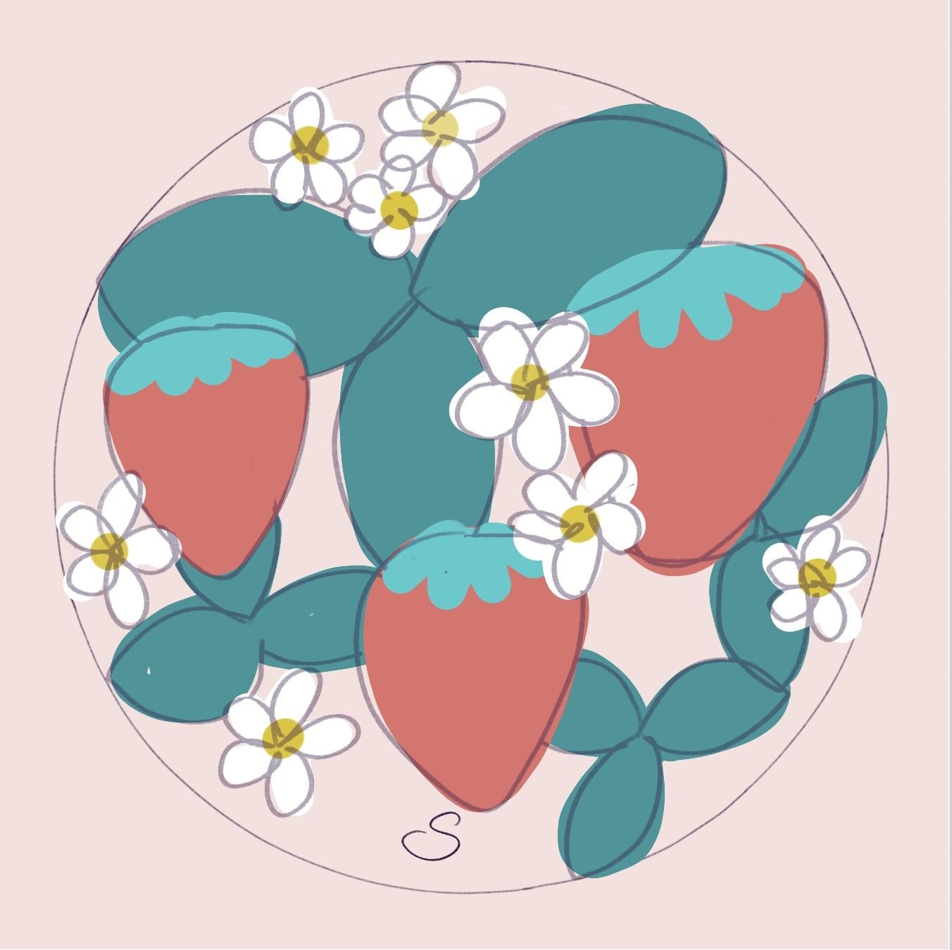 Strawberries - image 2 - student project