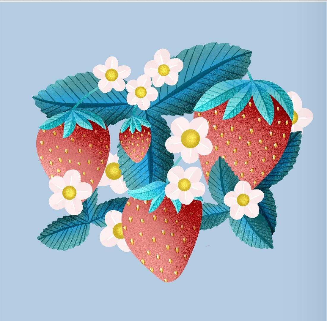 Strawberries - image 4 - student project
