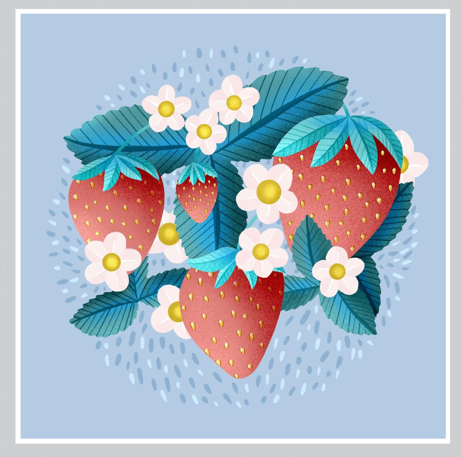 Strawberries - image 5 - student project