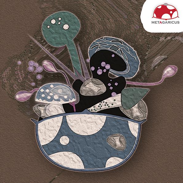 My NFT Collections - Metagaricus - image 8 - student project