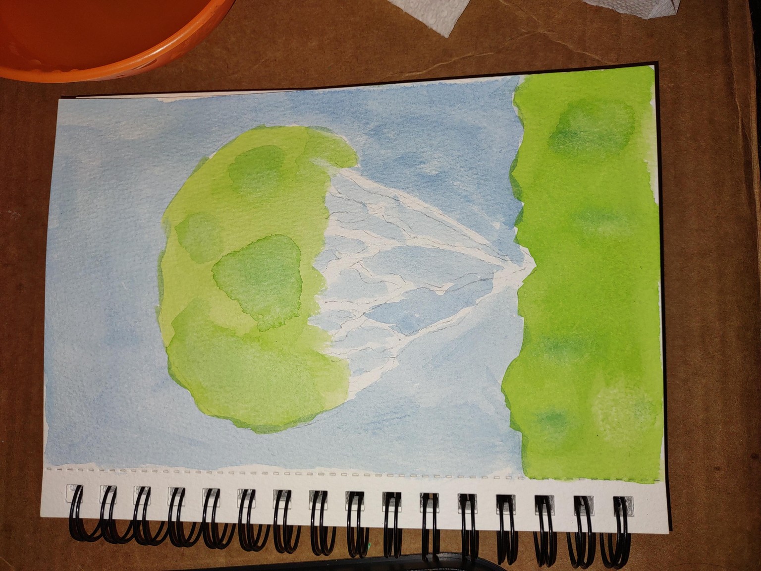 South American Tree - image 4 - student project