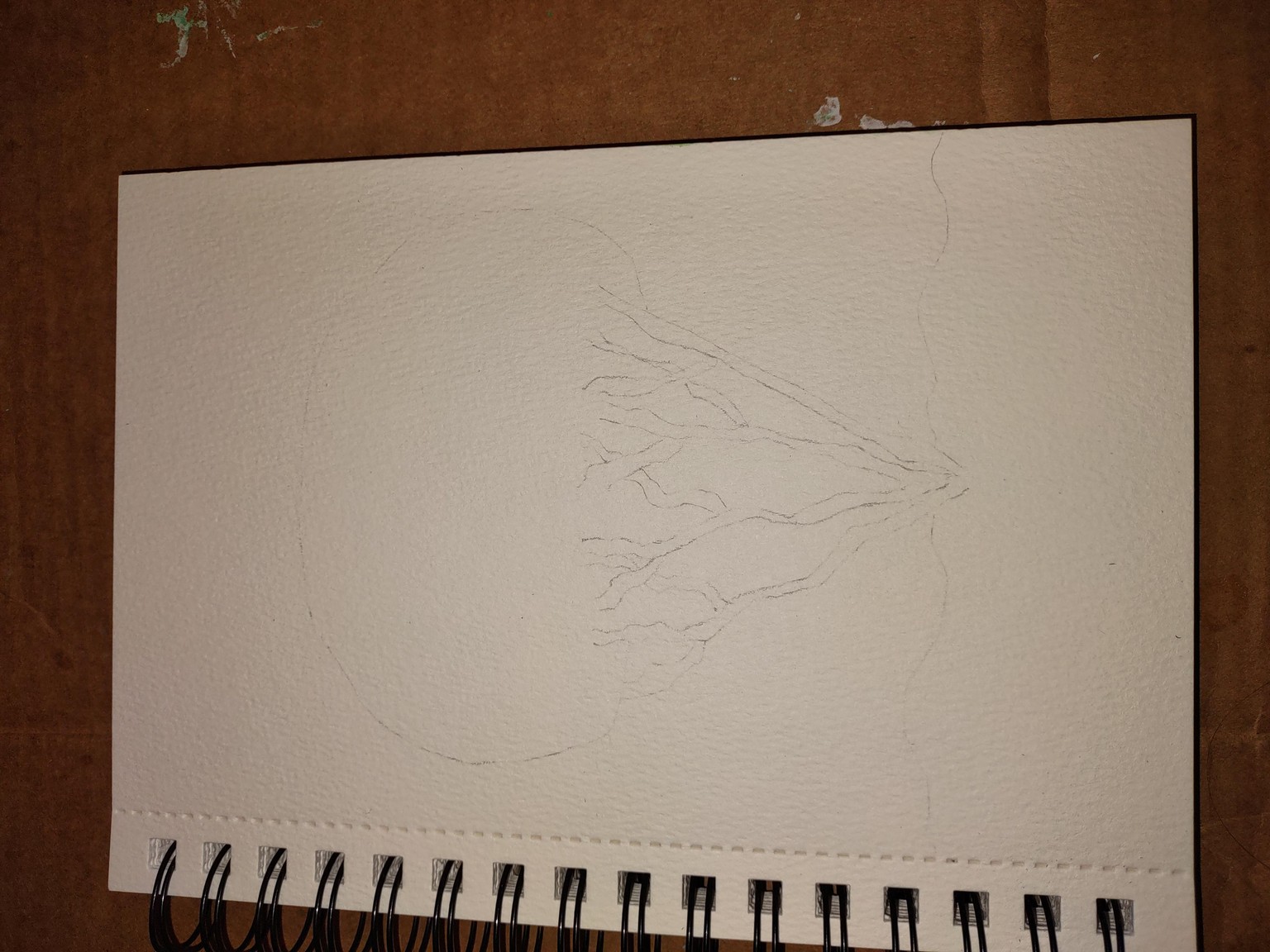 South American Tree - image 2 - student project