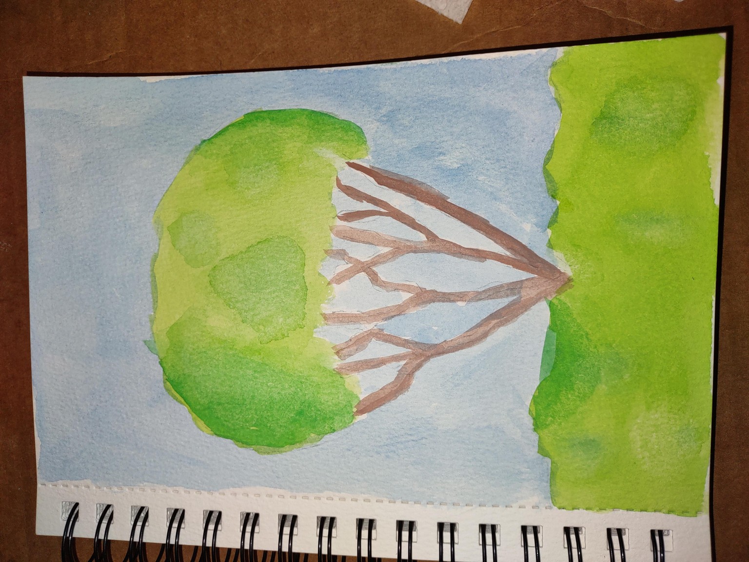 South American Tree - image 5 - student project