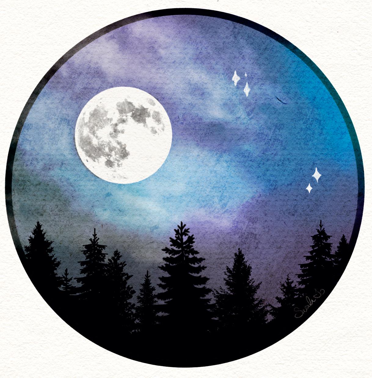 Misty Forest Scenes - image 2 - student project