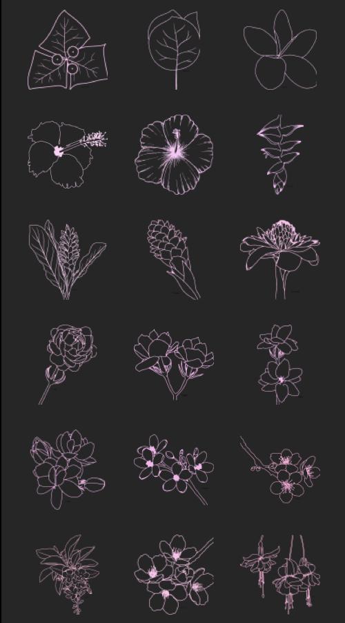 AD4 Building a Robust Asset Studio Collection - image 6 - student project