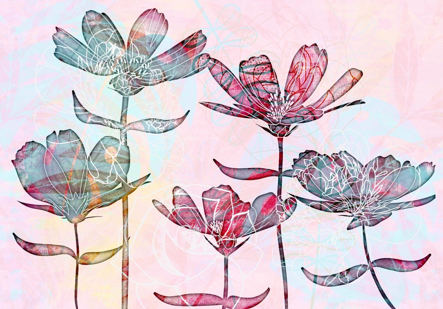 Peekaboo Project - image 3 - student project