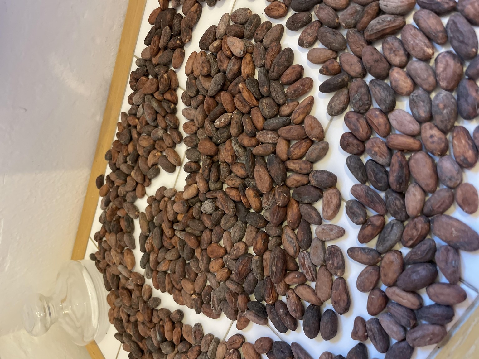 Fino’s chocolate - image 2 - student project