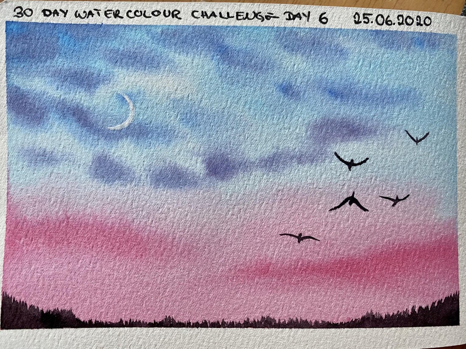 30 Day Watercolour Challenge - image 27 - student project