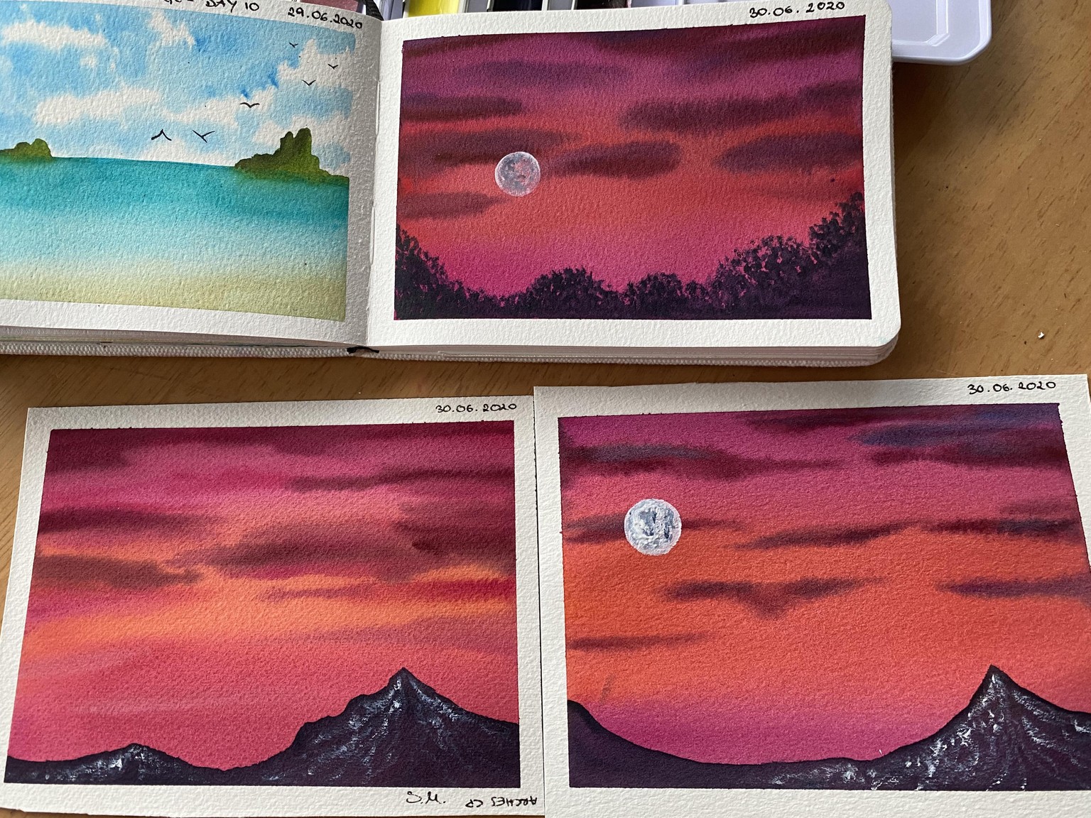30 Day Watercolour Challenge - image 22 - student project