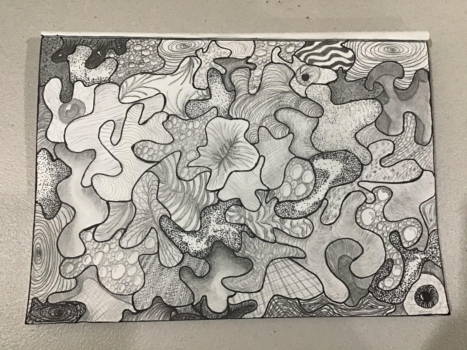 Little of this a little of that. - image 1 - student project
