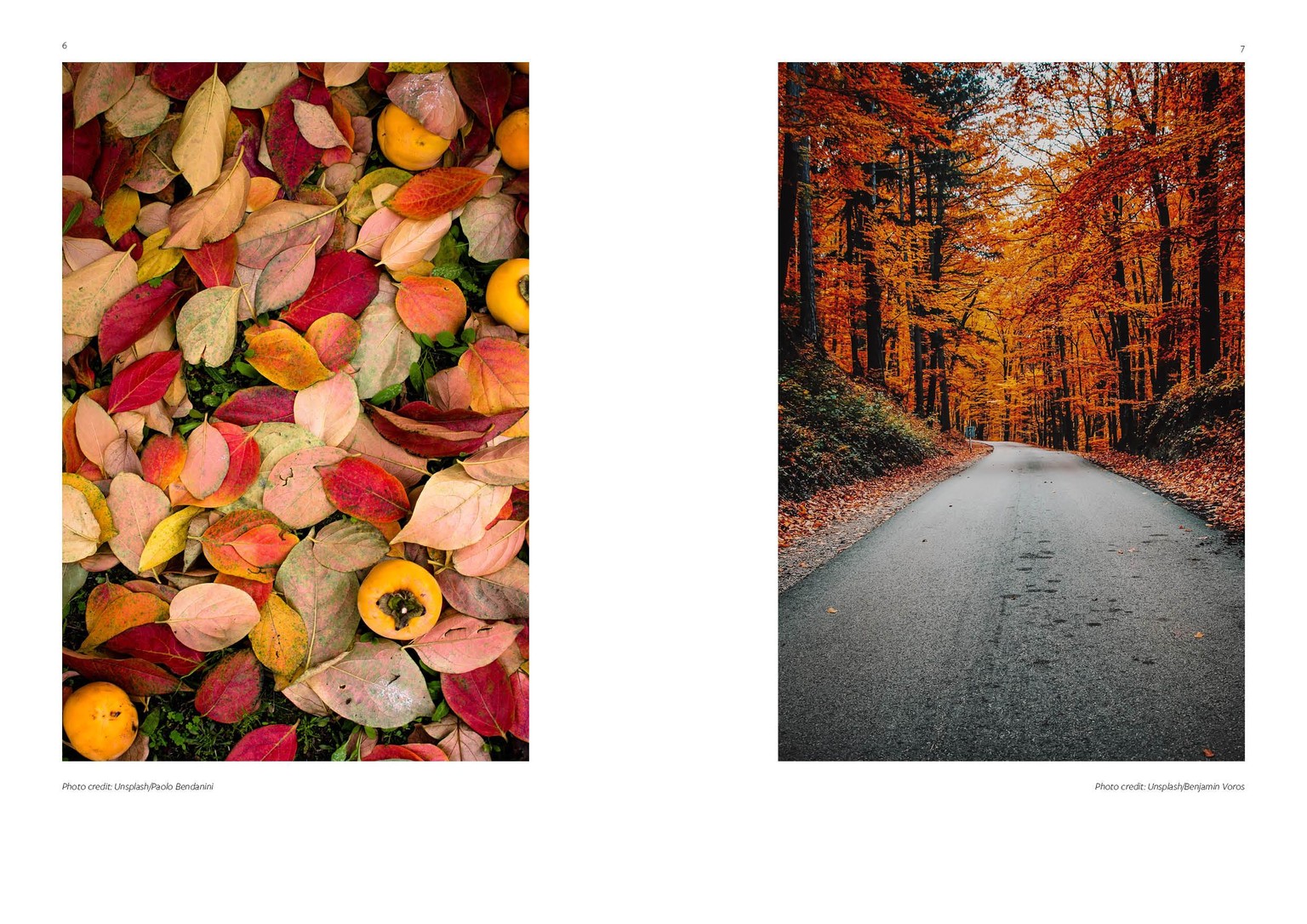Autumn/Fall class project - image 7 - student project