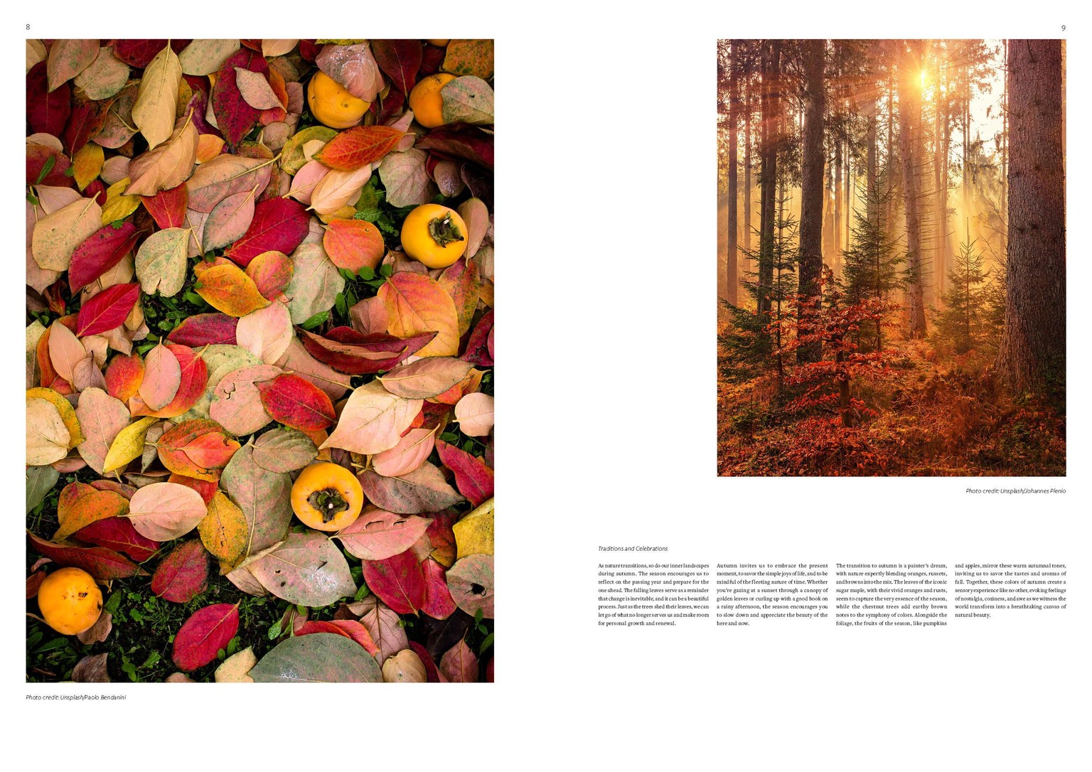 Autumn/Fall class project - image 4 - student project