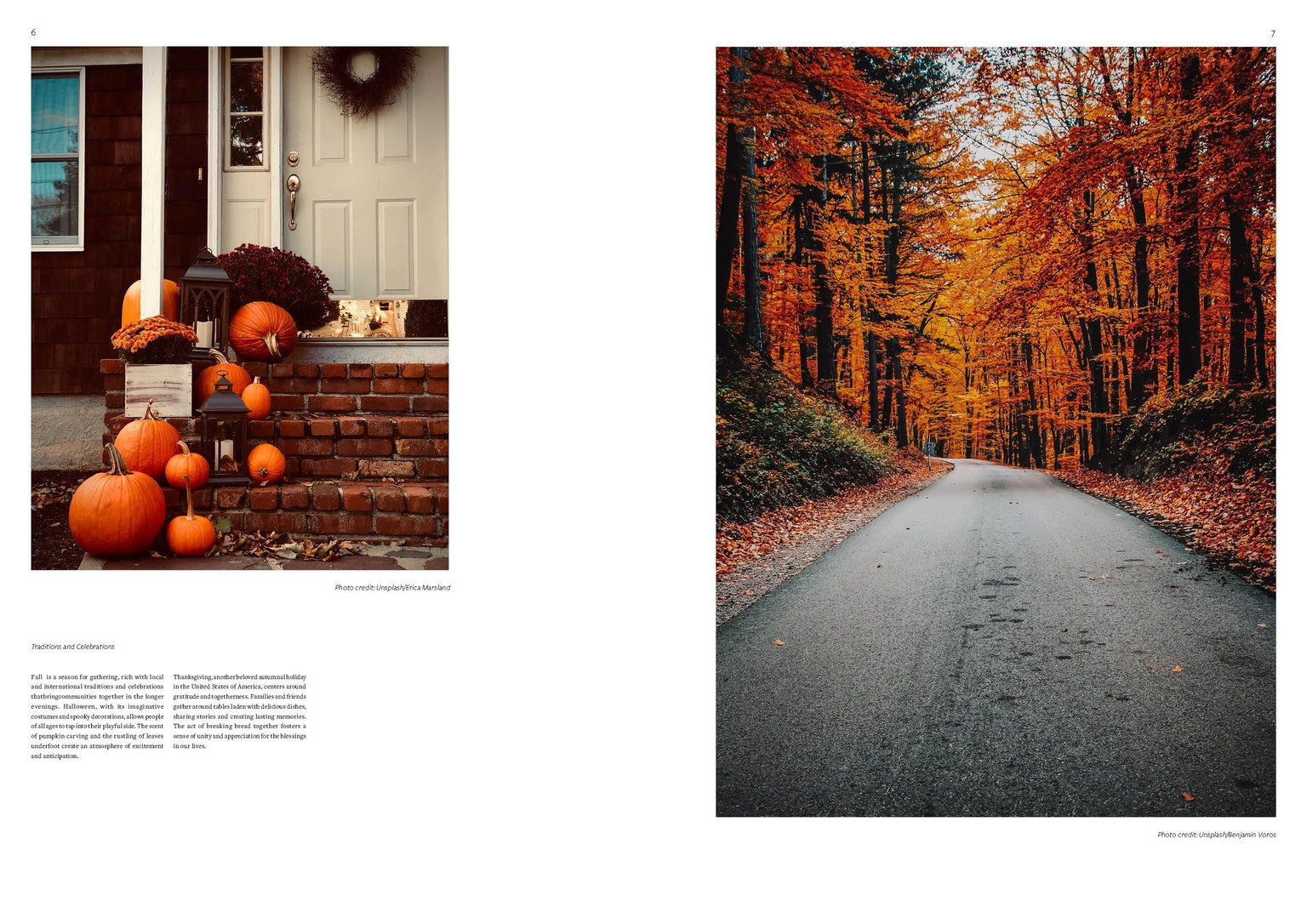 Autumn/Fall class project - image 3 - student project