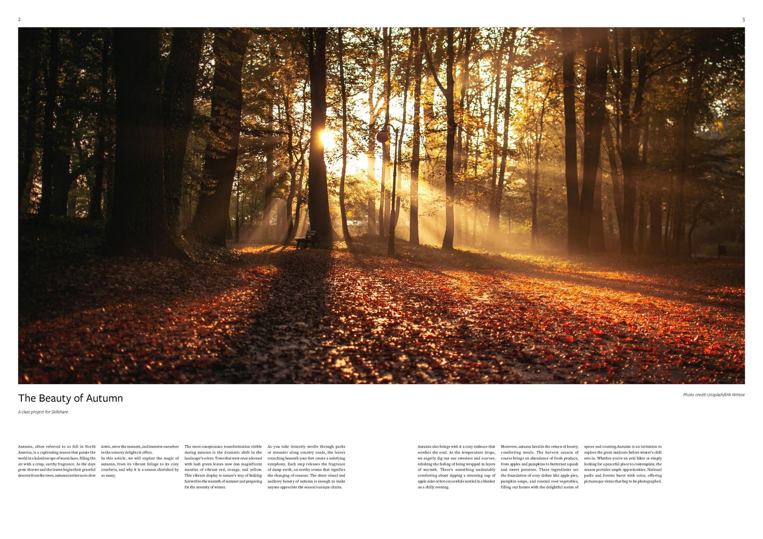 Autumn/Fall class project - image 1 - student project