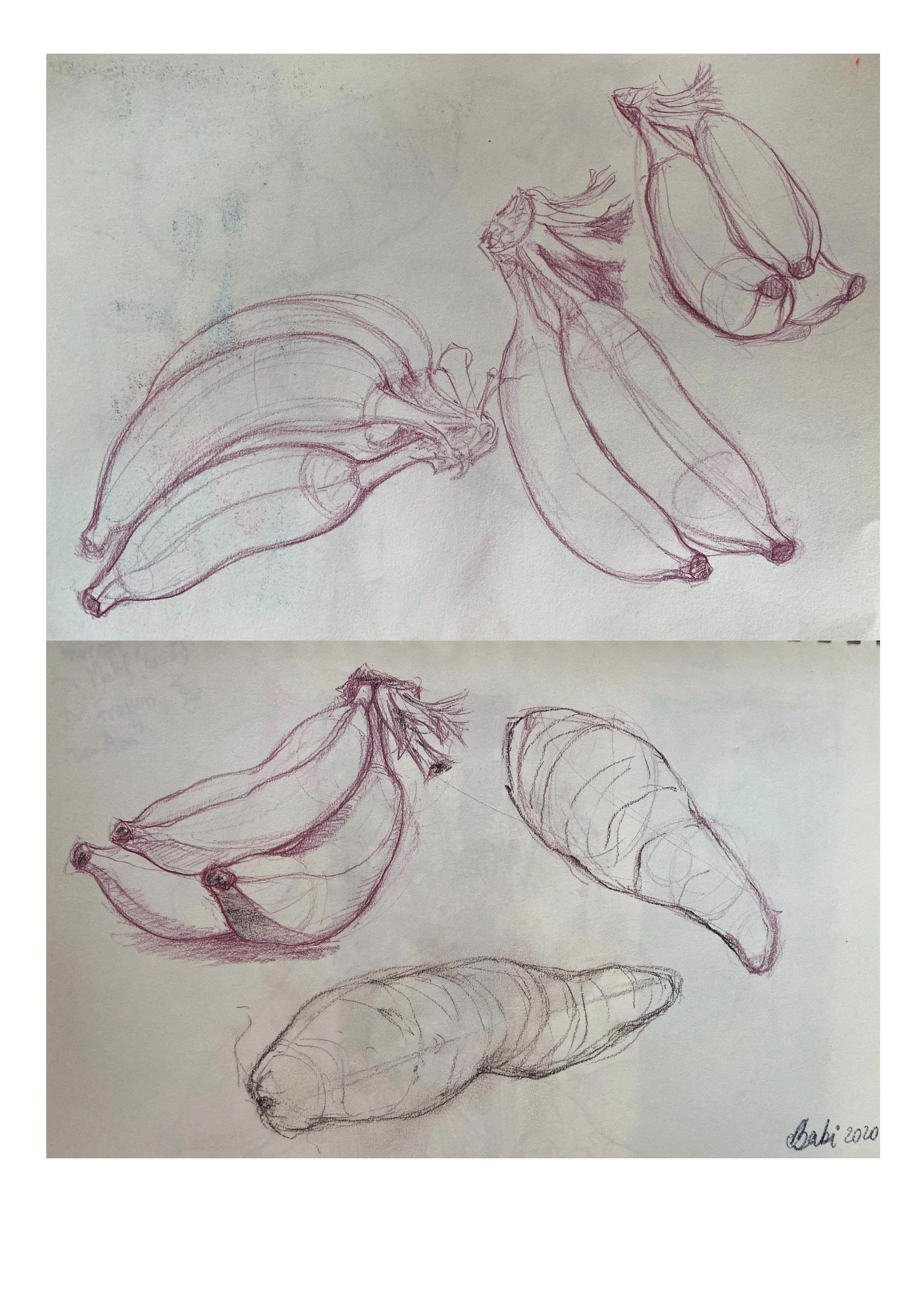Assignments - image 4 - student project