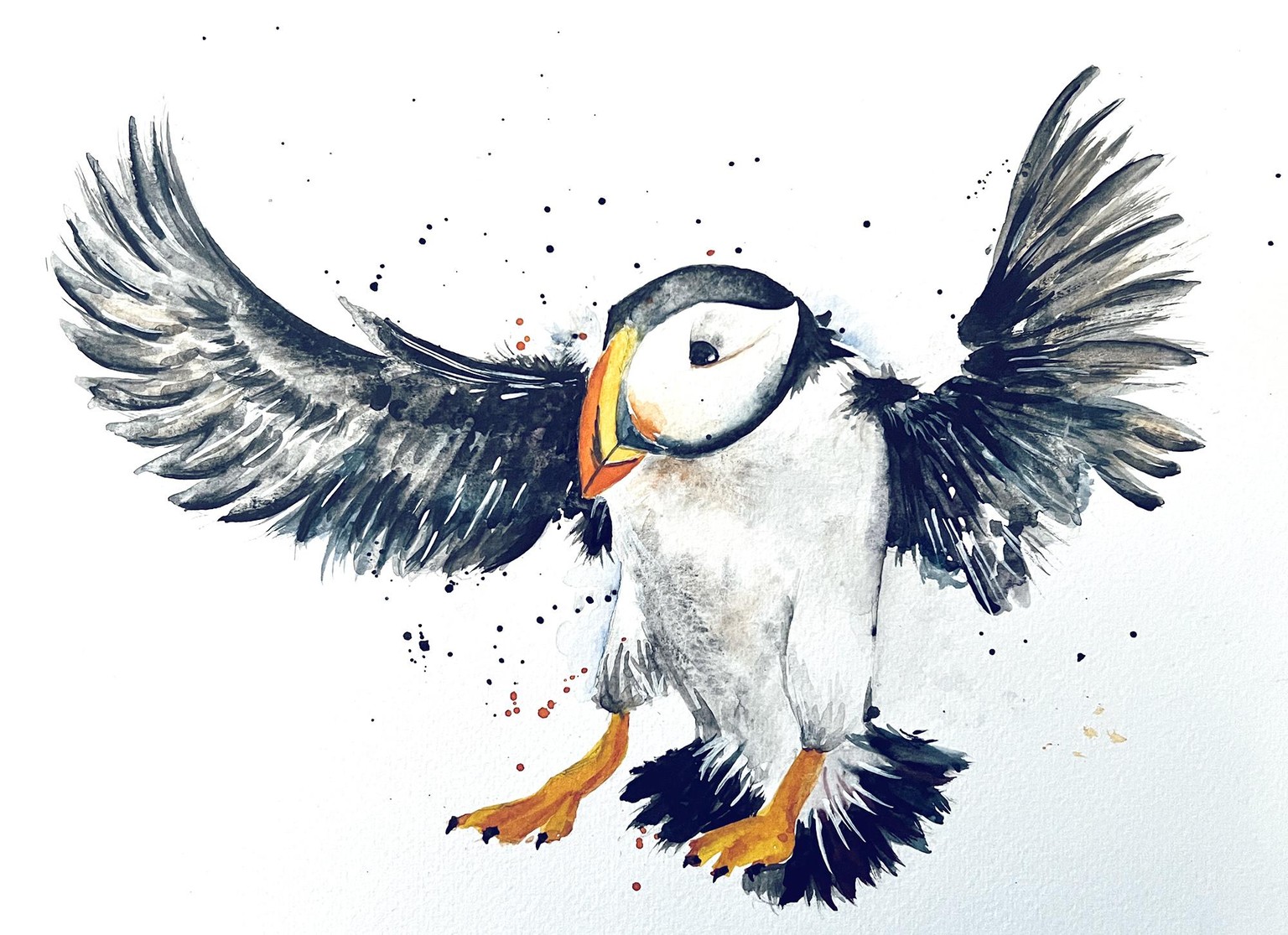 Flying puffin - image 1 - student project