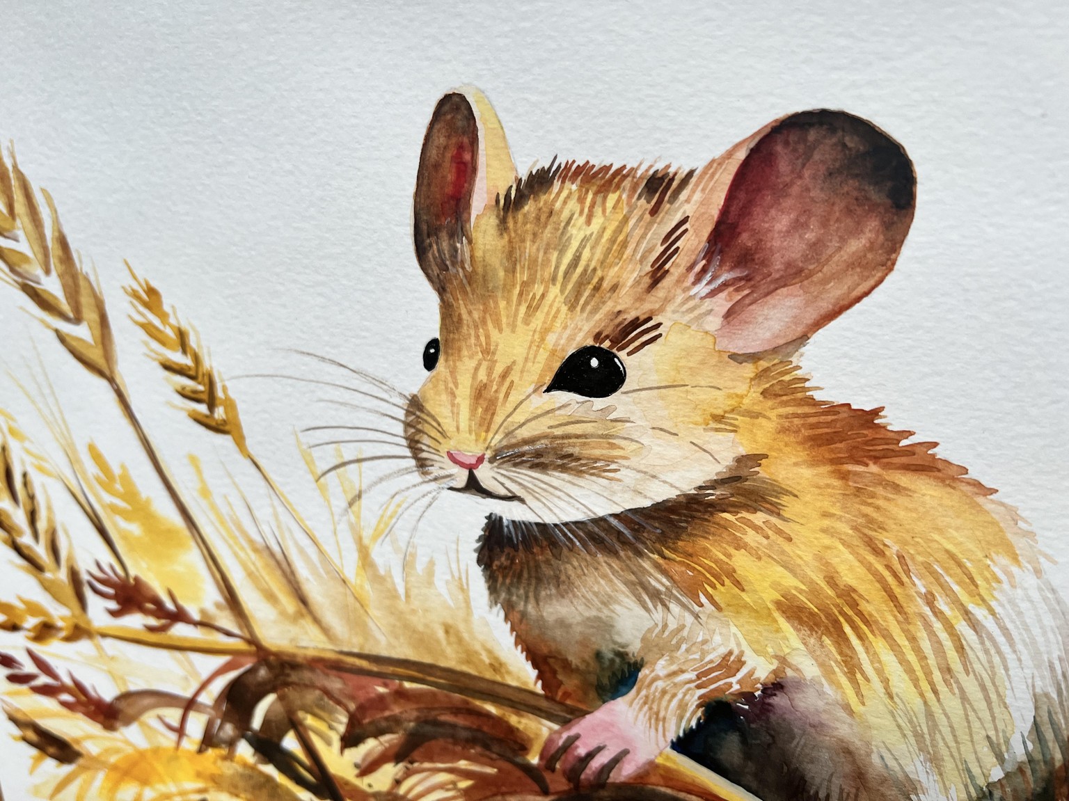 Field mouse - image 2 - student project