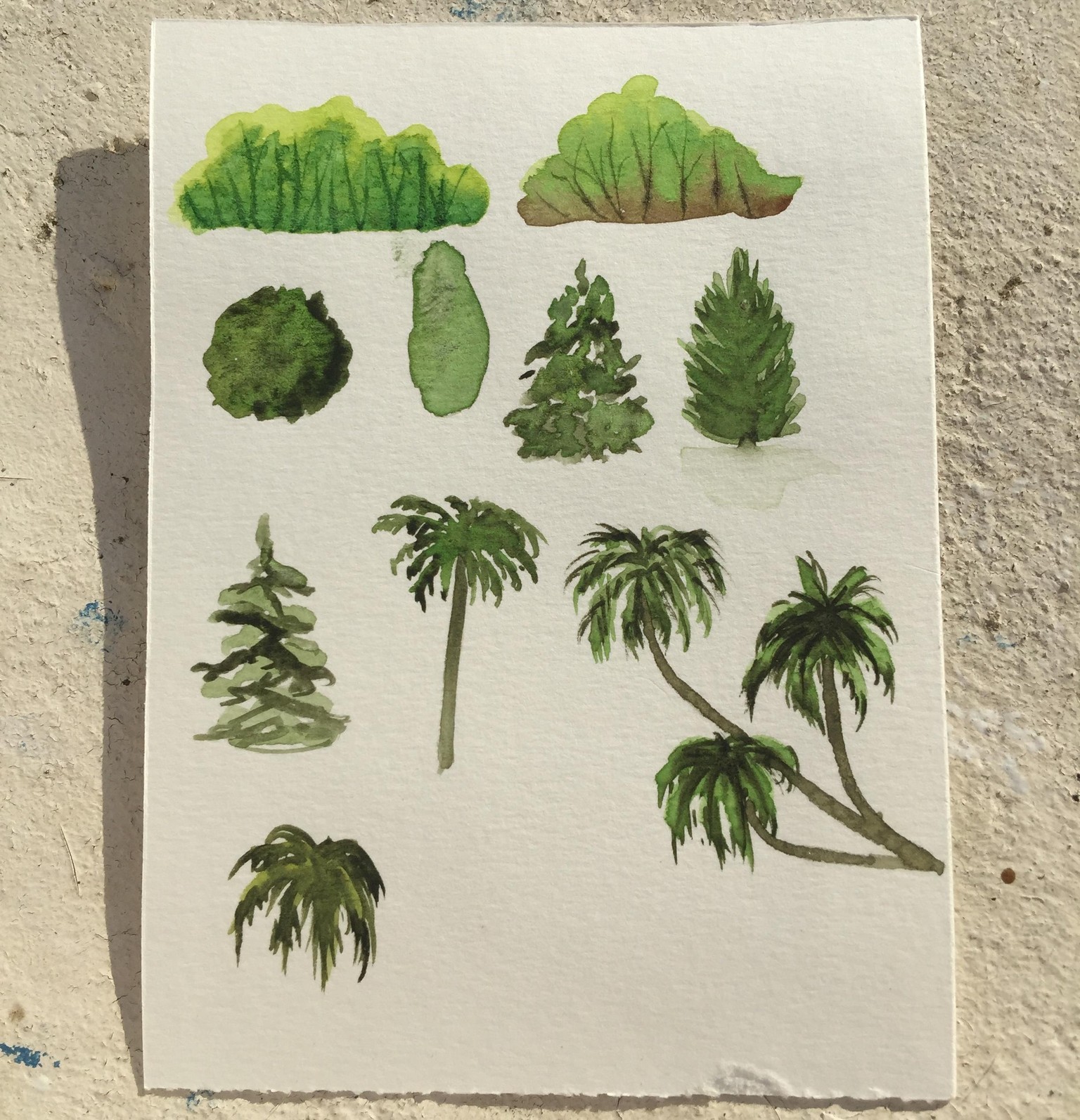 Trees with Shanhan - image 1 - student project