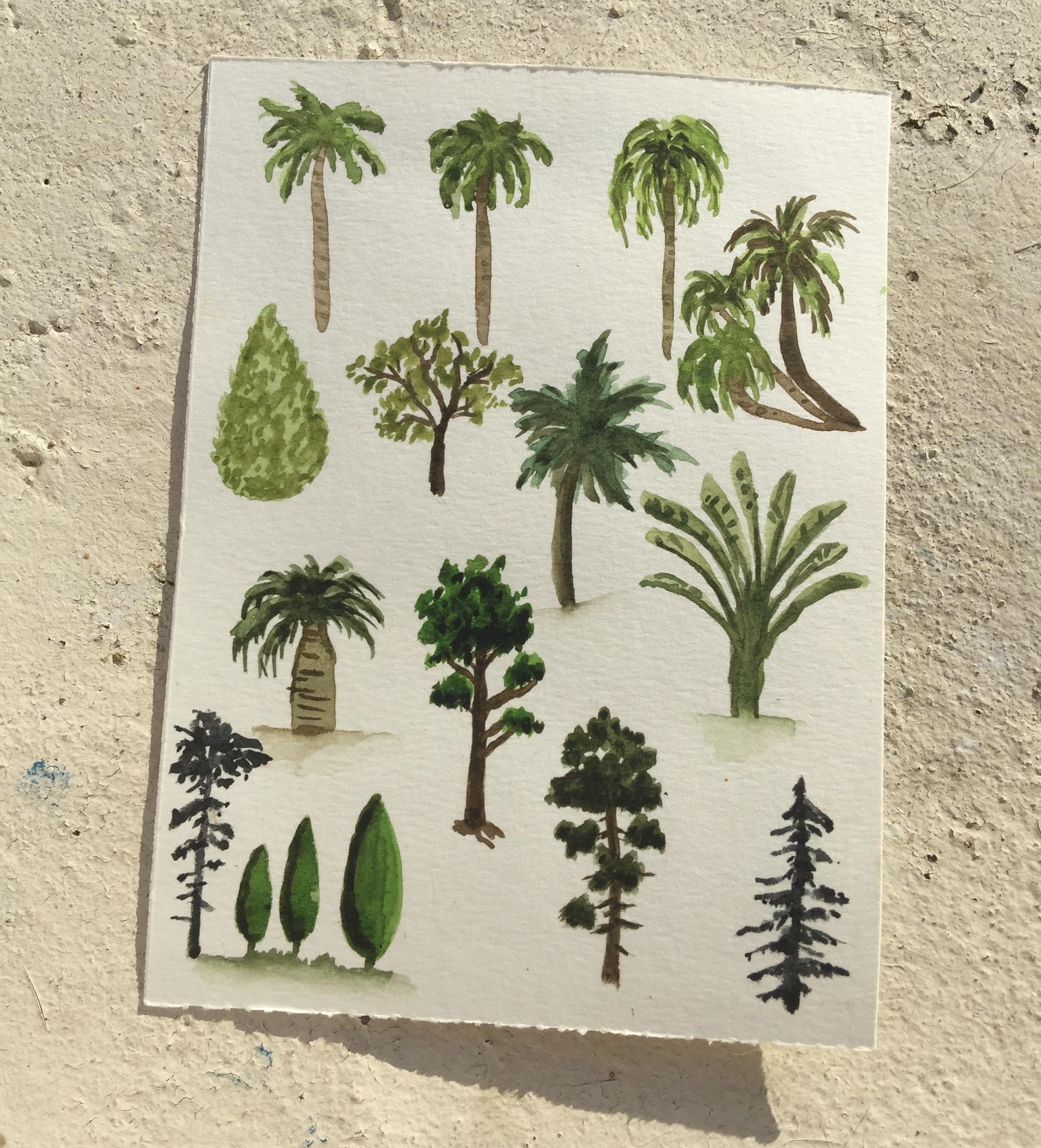Trees with Shanhan - image 2 - student project