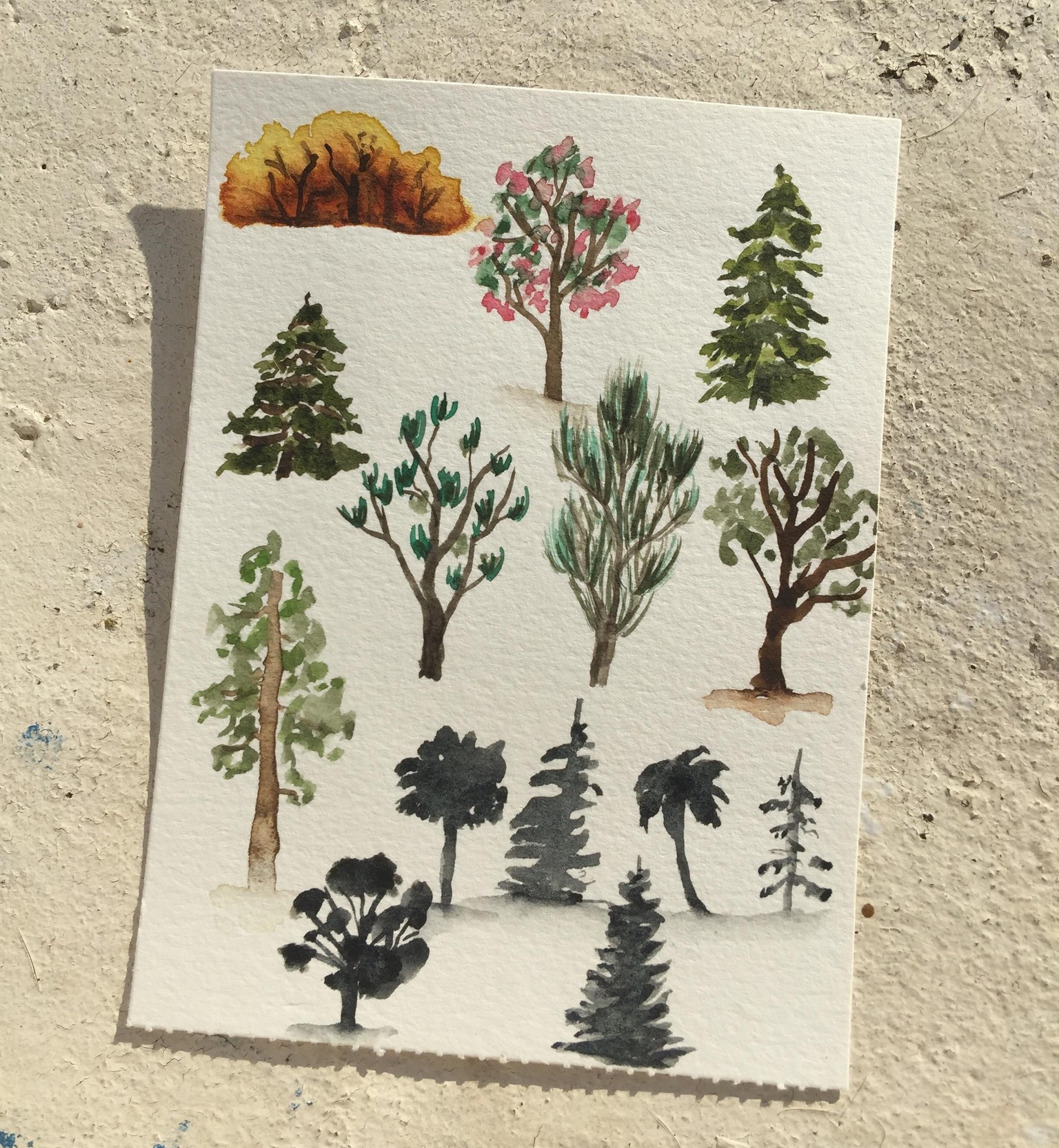Trees with Shanhan - image 4 - student project