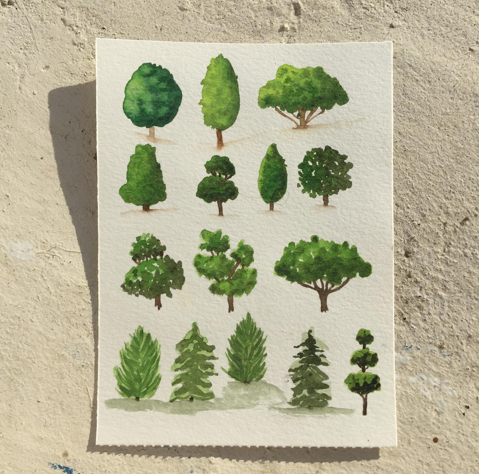 Trees with Shanhan - image 3 - student project