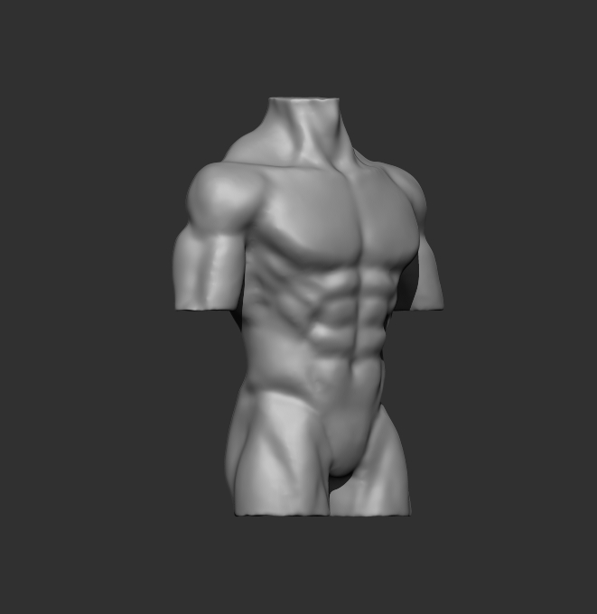 Torso - image 3 - student project