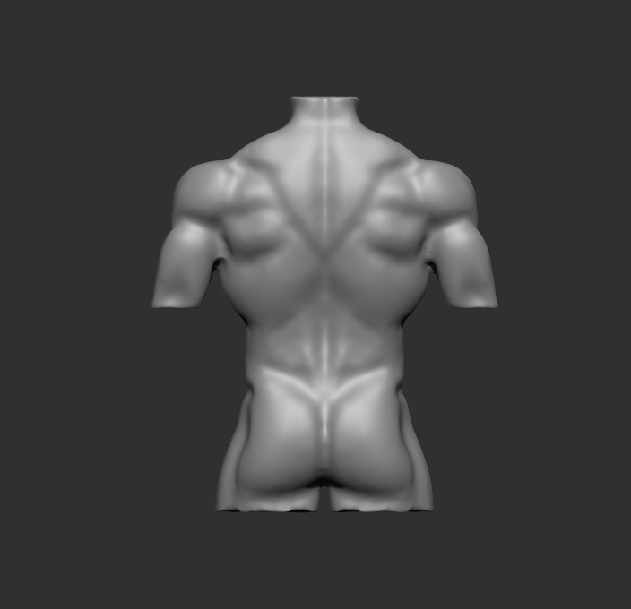 Torso - image 2 - student project