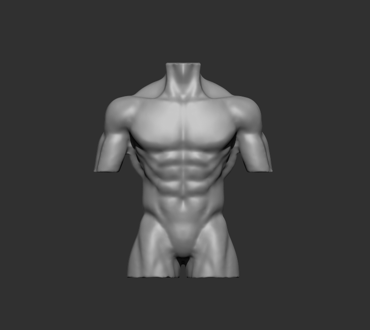 Torso - image 1 - student project
