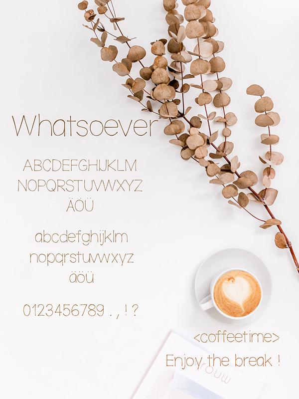 Whatsoever - image 1 - student project