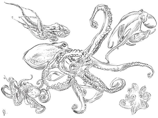 14-day drawing challenge - image 8 - student project