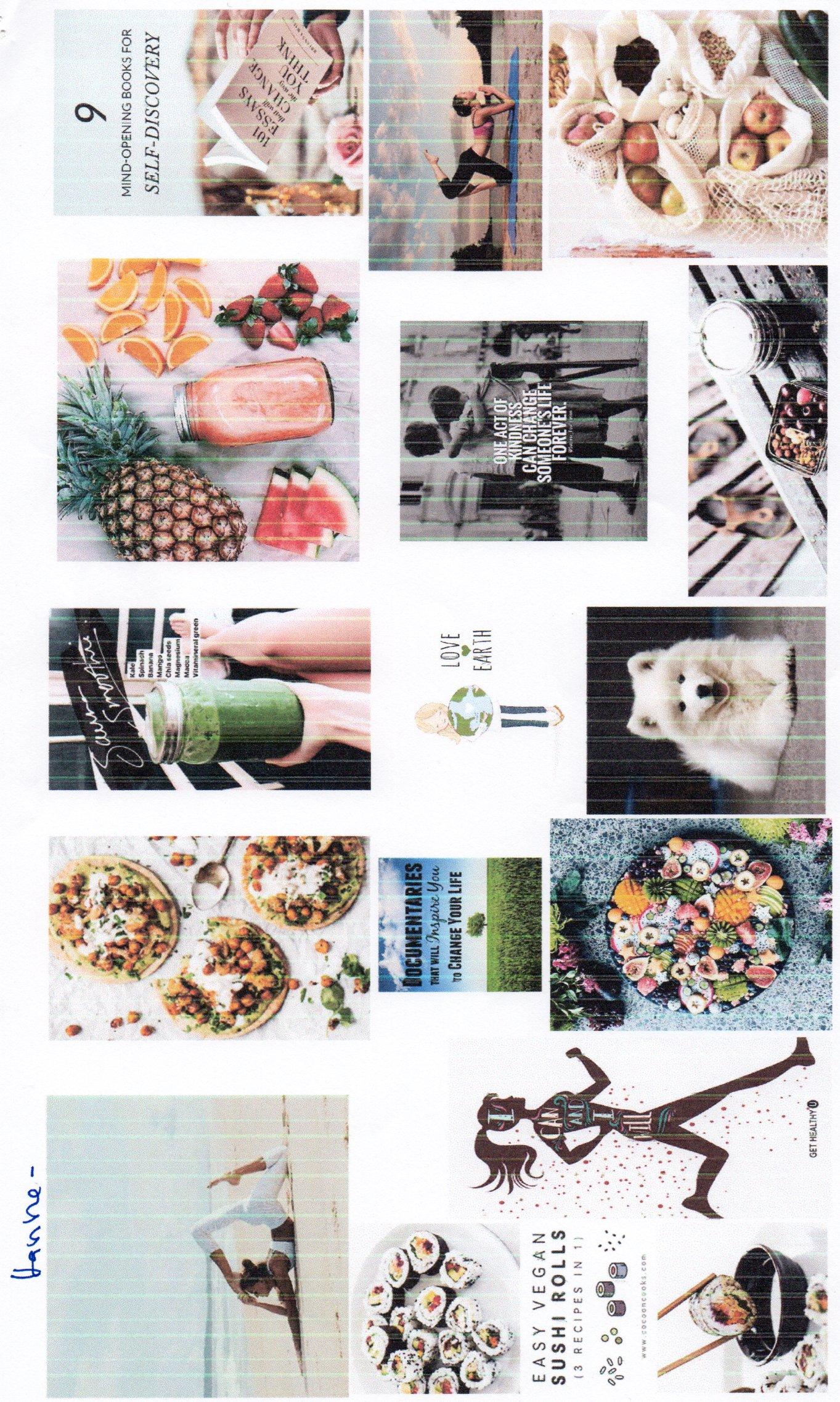 Hanne - Target Client - image 3 - student project