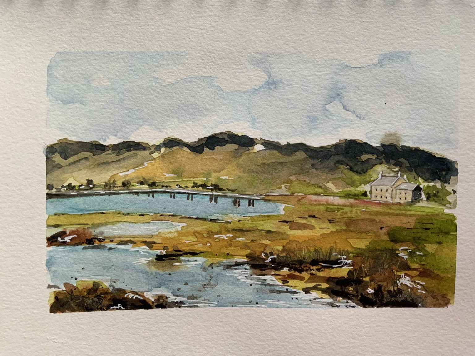 Loose landscape - image 1 - student project
