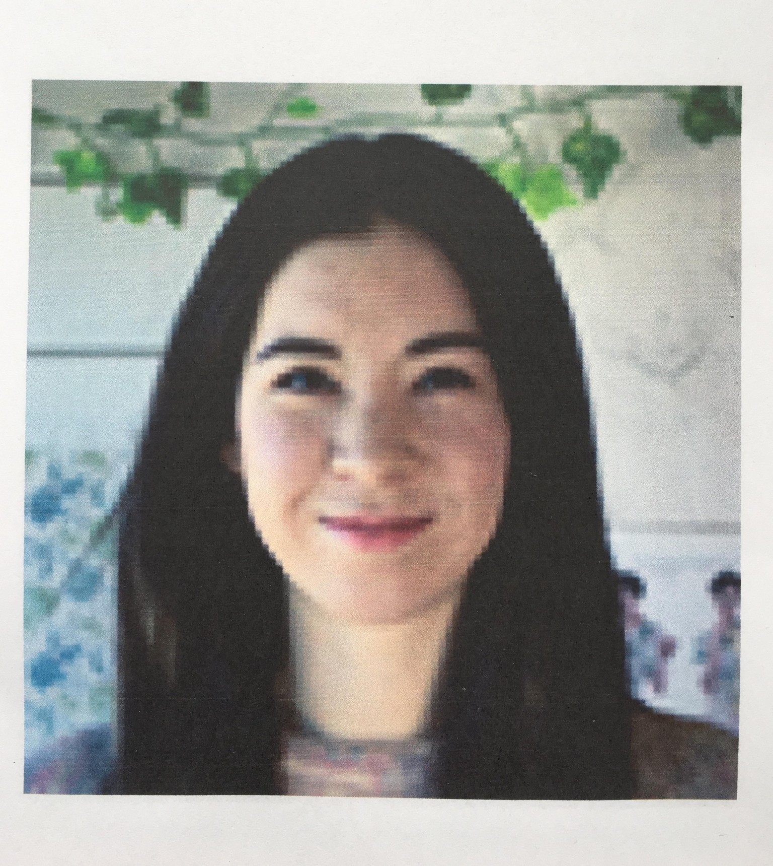 High Res and Low Res in Screen and Print - image 4 - student project