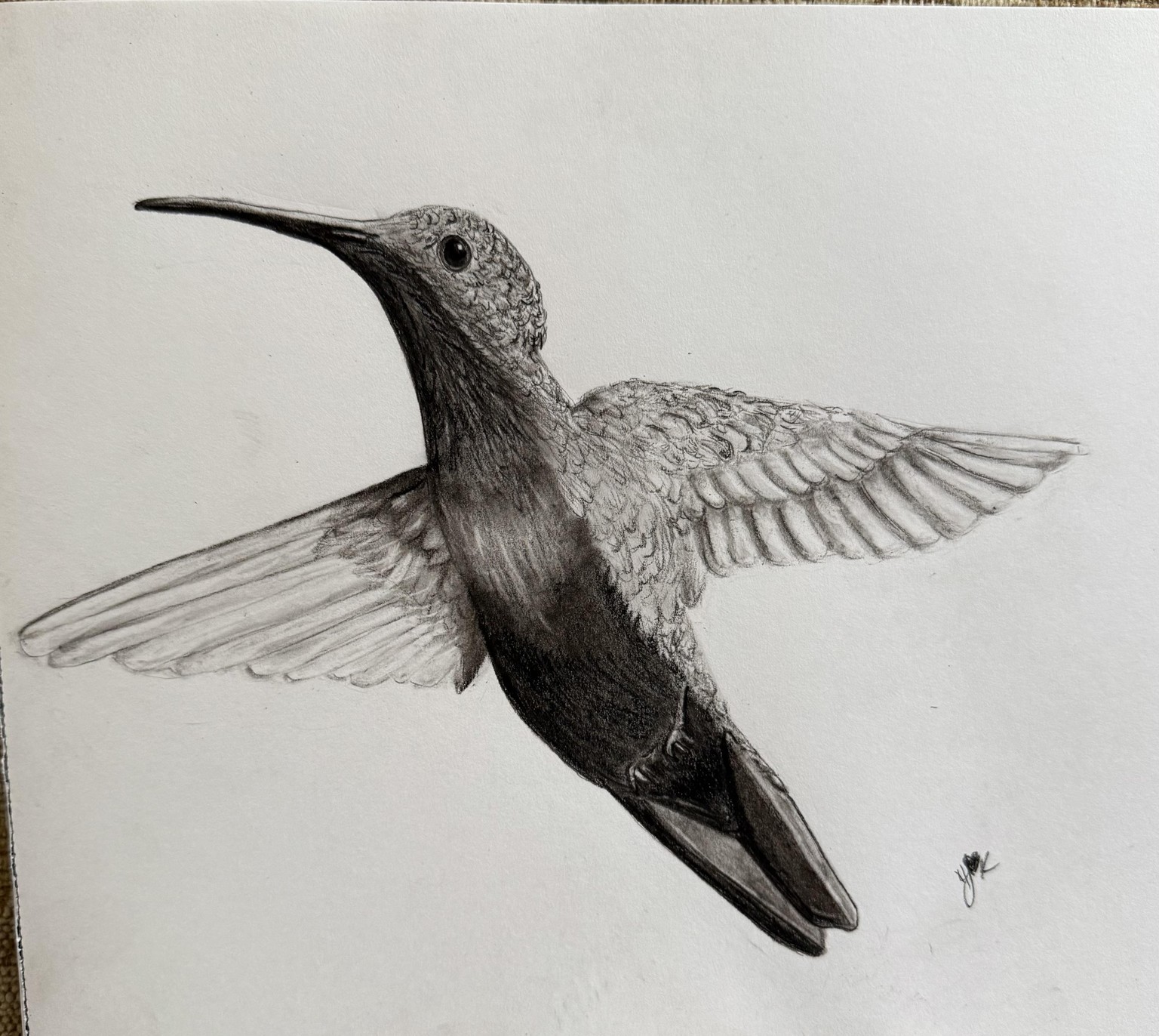 Birdie - image 1 - student project