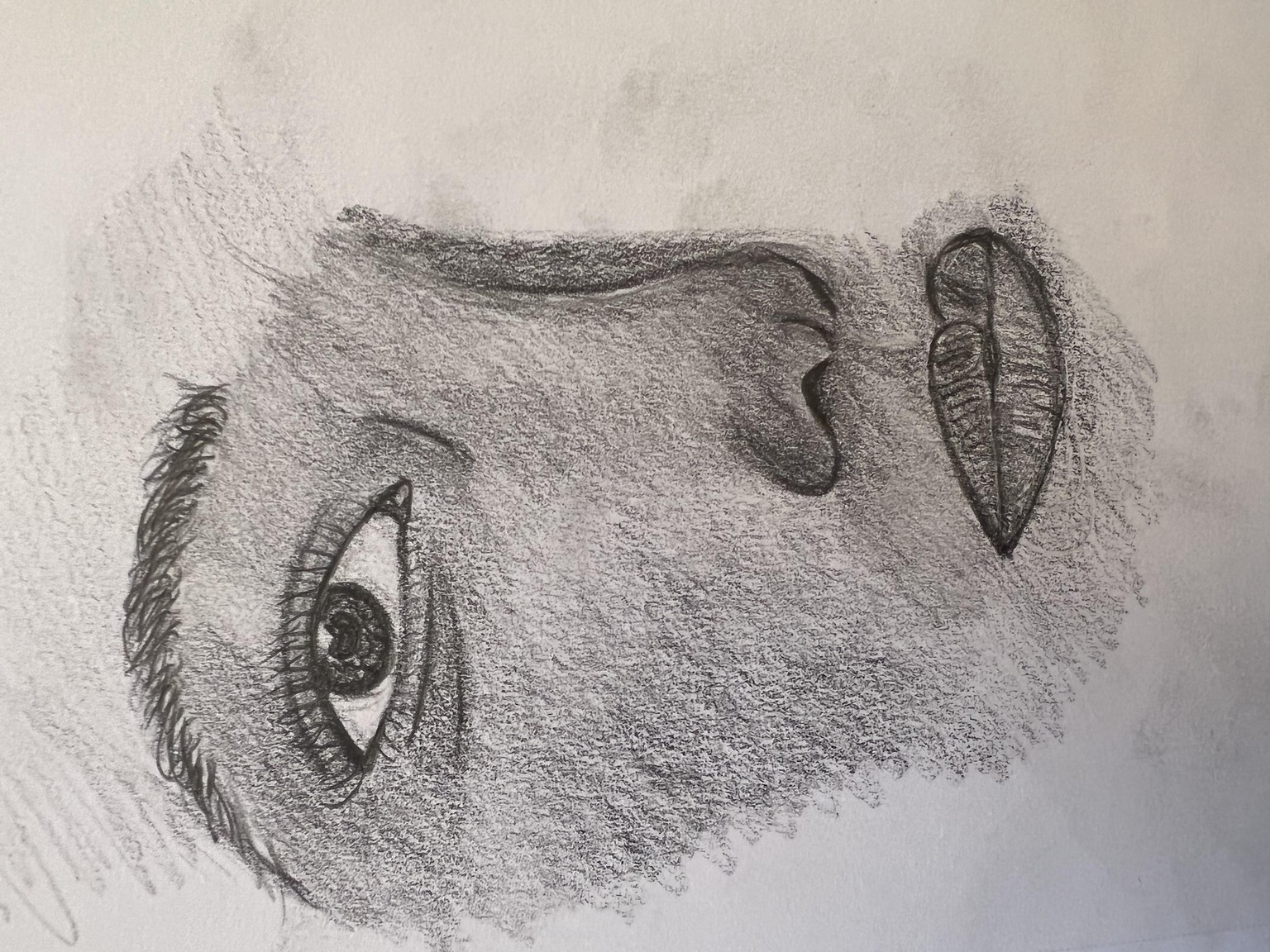 Face Hachure and Shading - image 2 - student project