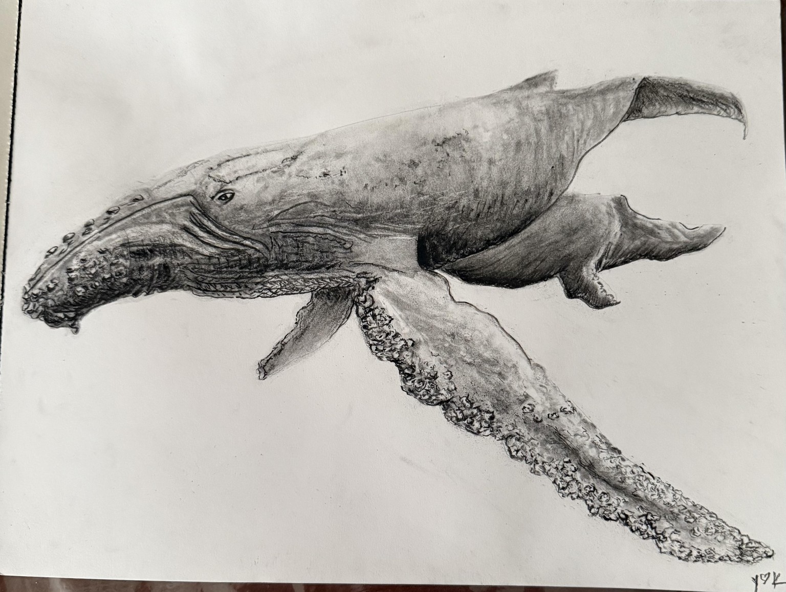 Whale - image 1 - student project