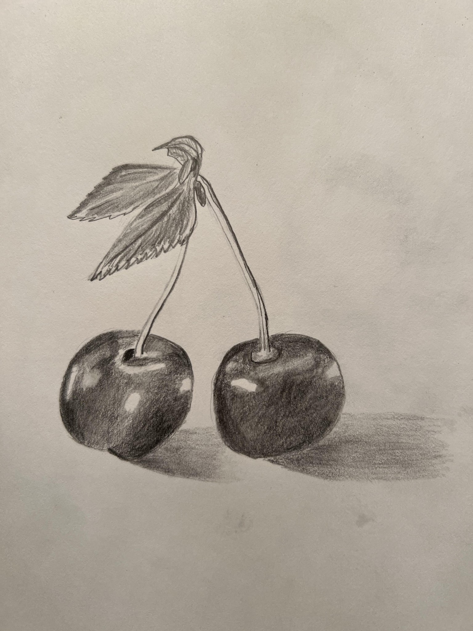 Skeleton & Vase/Flowers & Cherries & Pears & Macaroons - image 8 - student project