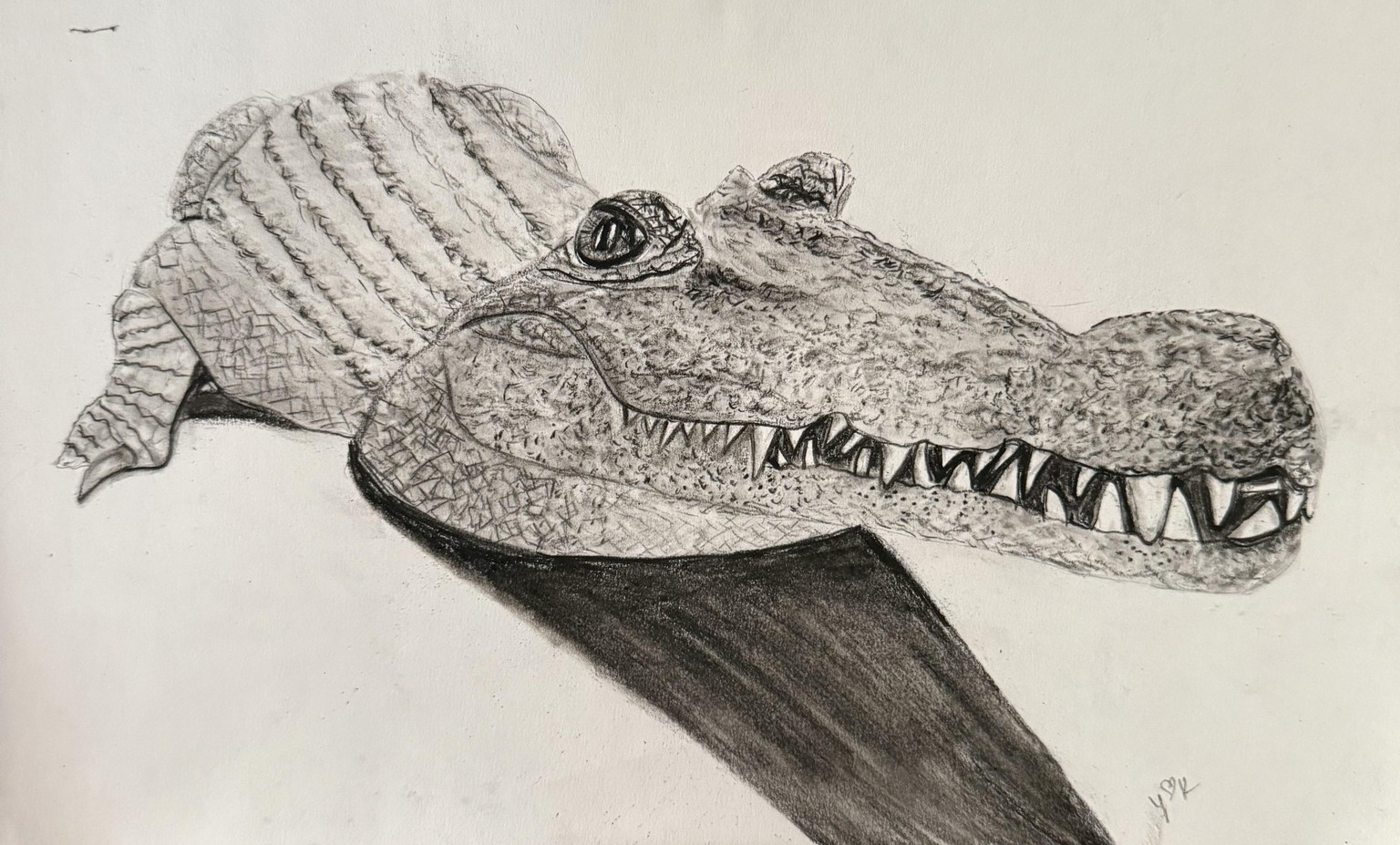 Croc - image 1 - student project