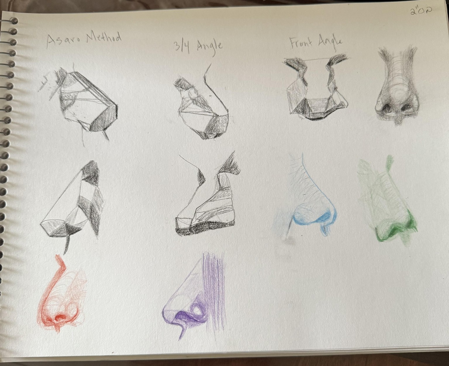 Nose practice with Asaro Approach - image 1 - student project