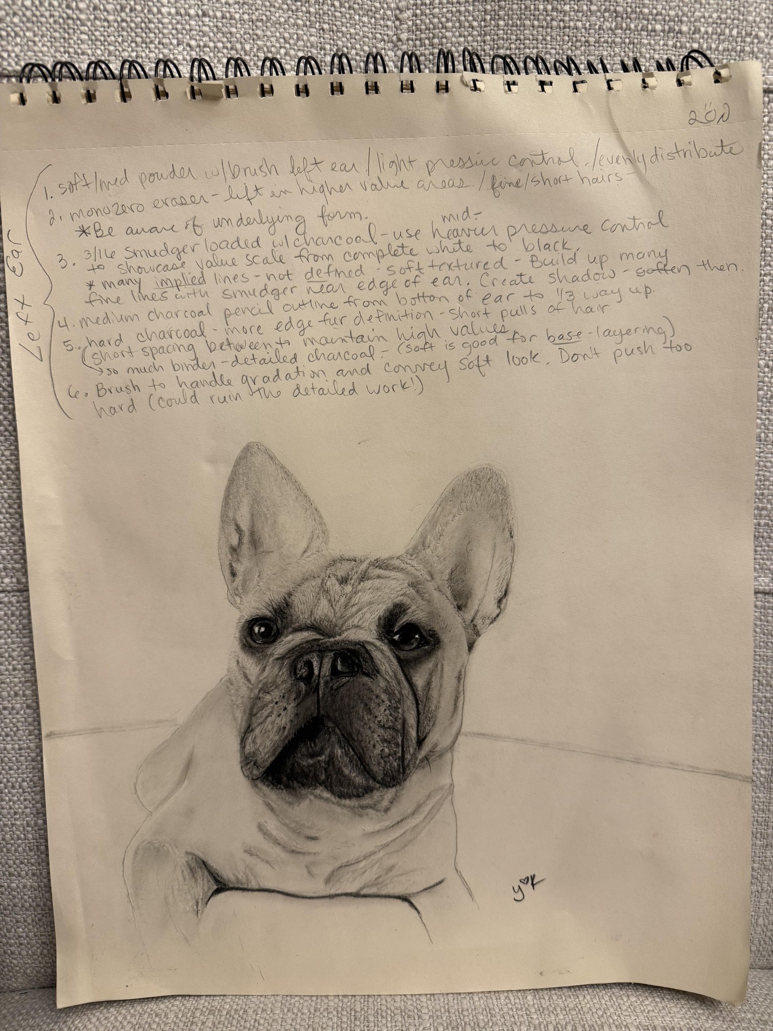 French Bulldog w/notes - image 1 - student project