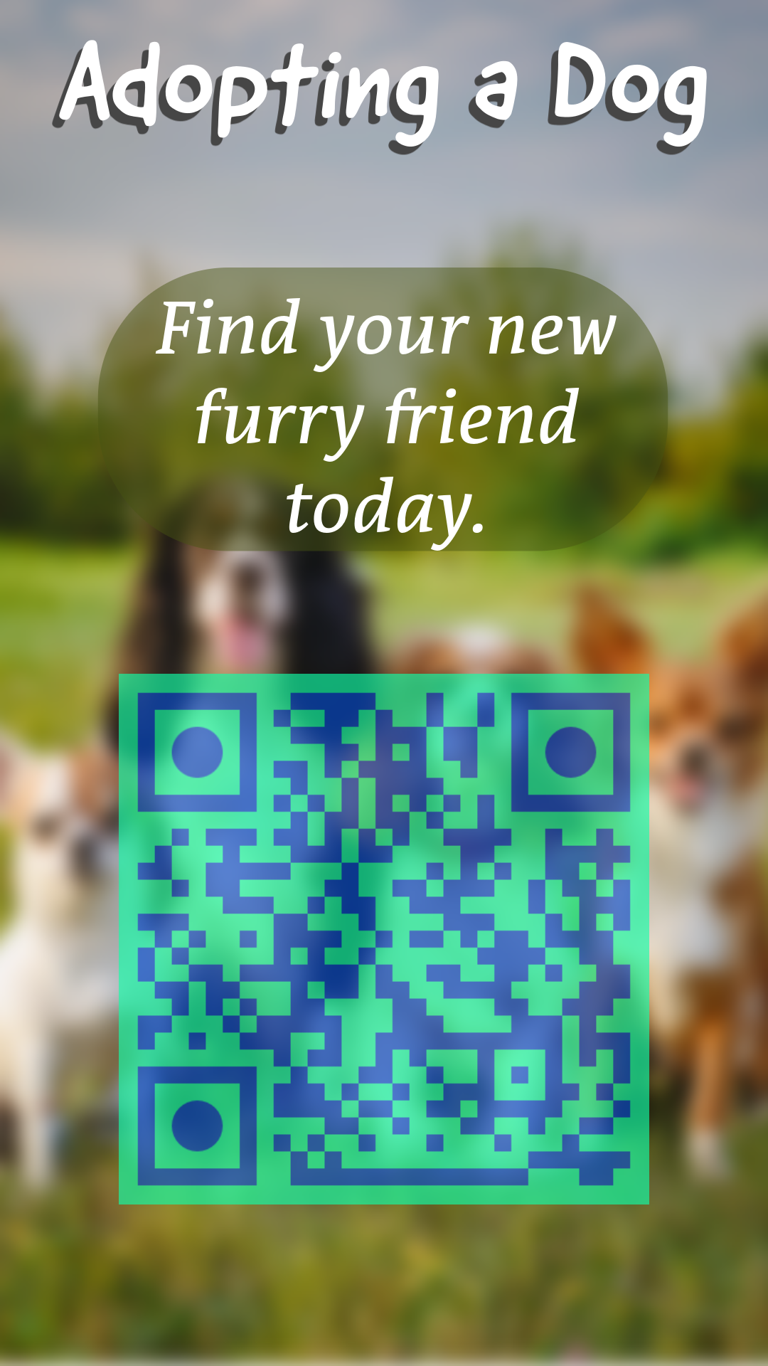 Adopting a Dog - image 5 - student project