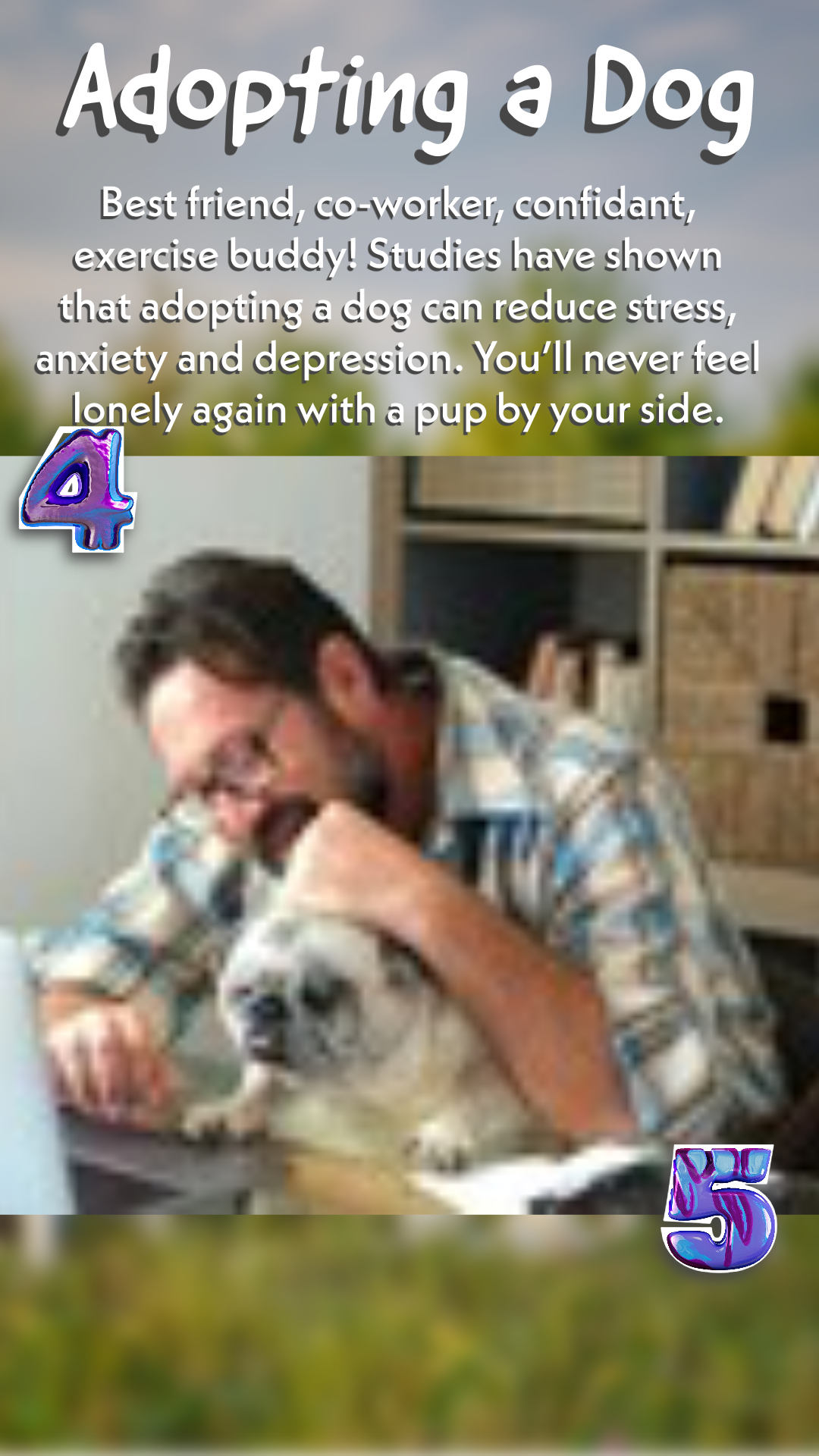 Adopting a Dog - image 4 - student project